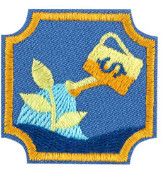 Ambassador Financial Planner Badge