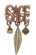 Ambassador Justice Award Pin