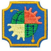 Ambassador Think Like an Engineer Journey