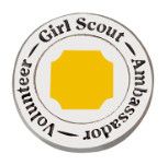Ambassador Volunteer Pin