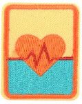 Senior First Aid Badge
