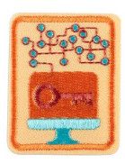 Senior Cybersecurity Basics Badge