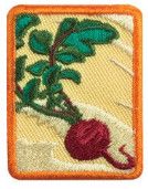 Senior Locavore Badge