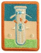 Senior Science of Style Badge