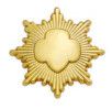 Gold Award Pin - Gold Plated
