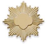 Gold Award Pin - Gold Filled