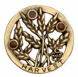 Senior Sow What? Journey Award Pin