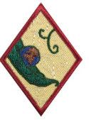 Cadette New Cuisine Badge