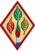 Cadette Outdoor Art Apprentice Badge