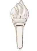 Cadette Torch Award Pin