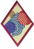 Cadette Special Agent Badge