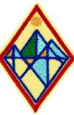 Cadette Digital Leadership Badge