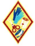 Cadette First Aid Badge