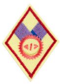 Cadette Coding Basics Badge