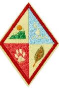 Cadette Eco Trekker Badge