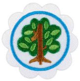 Daisy Shapes In Nature Badge