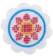 Daisy Think Like A Programmer Award Badge