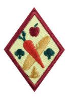 Cadette Eating for You Badge