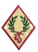 Cadette Good Sportsmanship Badge