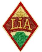 Cadette Leadership in Action Award