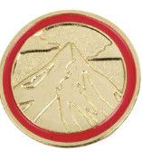 Cadette Journey Summit Pin