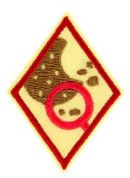 Cadette Cookie Market Researcher Badge