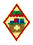 Cadette My Cookie Venture Badge