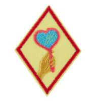 Cadette Outside the Mirror Badge