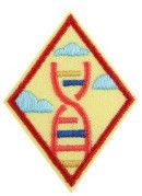 Cadette STEM Career Exploration Badge