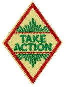 Cadette Take Action Award