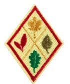 Cadette Think Like A Citizen Scientist Award