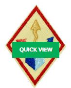 Cadette Think Like an Engineer Journey