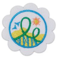Daisy Roller Coaster Design Challenge Badge