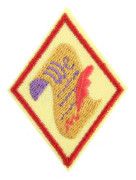 Democracy for Cadettes Badge