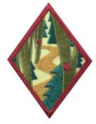 Cadette Trailblazing Badge
