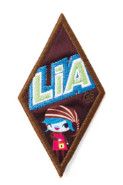 Cadette Leader in Action Award