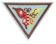 Brownie Create And Innovate Badge