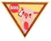 Brownie First Aid Badge