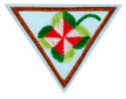 Brownie Shapes In Nature Badge