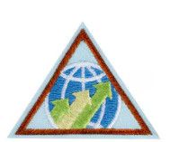 Brownie Global Action Award - Year 2