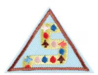 Brownie Coding Basics Badge