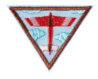 Brownie Fling Flyer Design Challenge Badge