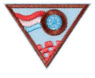 Brownie Race Car Design Challenge Badge