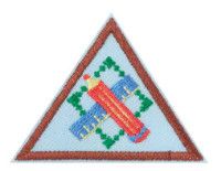 Brownie Think Like An Engineer Award Badge