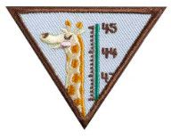 Brownie My Best Self Badge