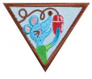 Brownie Computer Expert Badge