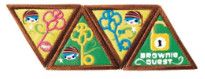 Quest Brownie Journey Award Set