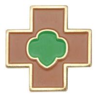 Brownie Safety Award Pin