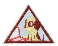 Brownie Cybersecurity Basics Badge