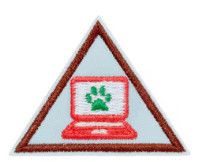 Brownie Cybersecurity Safeguards Badge